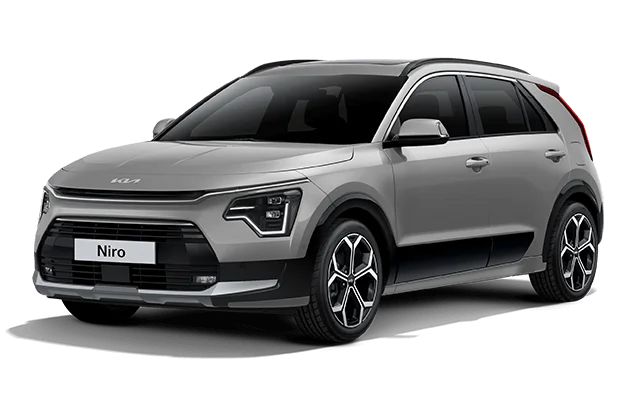 Kia Niro Steel Grey Exterior Colour